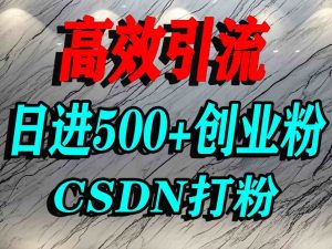 怎么打创业粉？CSDN又一个你不知道的打粉引流神秘平台，单人日引500+精准流量-网赚资源网