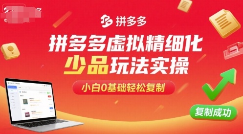 拼多多虚拟精细化少品玩法实操，小白0基础轻松复制-网赚资源网