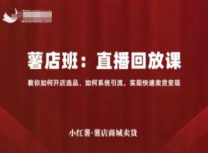 小红薯薯店商城卖货直播回放课，教你如何开店选品、如何系统引流，实现快速卖货变现-网赚资源网