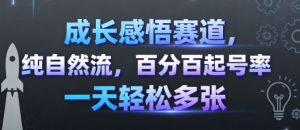 成长感悟赛道，纯自然流，百分百起号率 一天轻松多张-网赚资源网