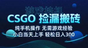8月最新游戏搬砖，CSGO纯挂G，不需要玩游戏，实现真挂G，月入1W+【揭秘】 - 网赚资源网-网赚资源网