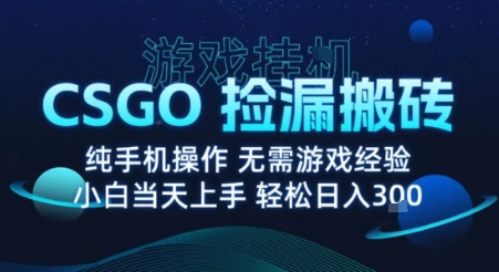 8月最新游戏搬砖，CSGO纯挂G，不需要玩游戏，实现真挂G，月入1W+【揭秘】-网赚资源网