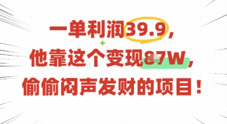 一单利润39.9，有人靠这个变现几十个，偷偷闷声发财的项目-网赚资源网