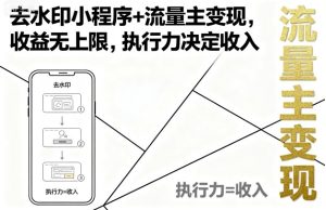 去水印小程序+流量主变现，收益无上限，执行力决定收入-网赚资源网