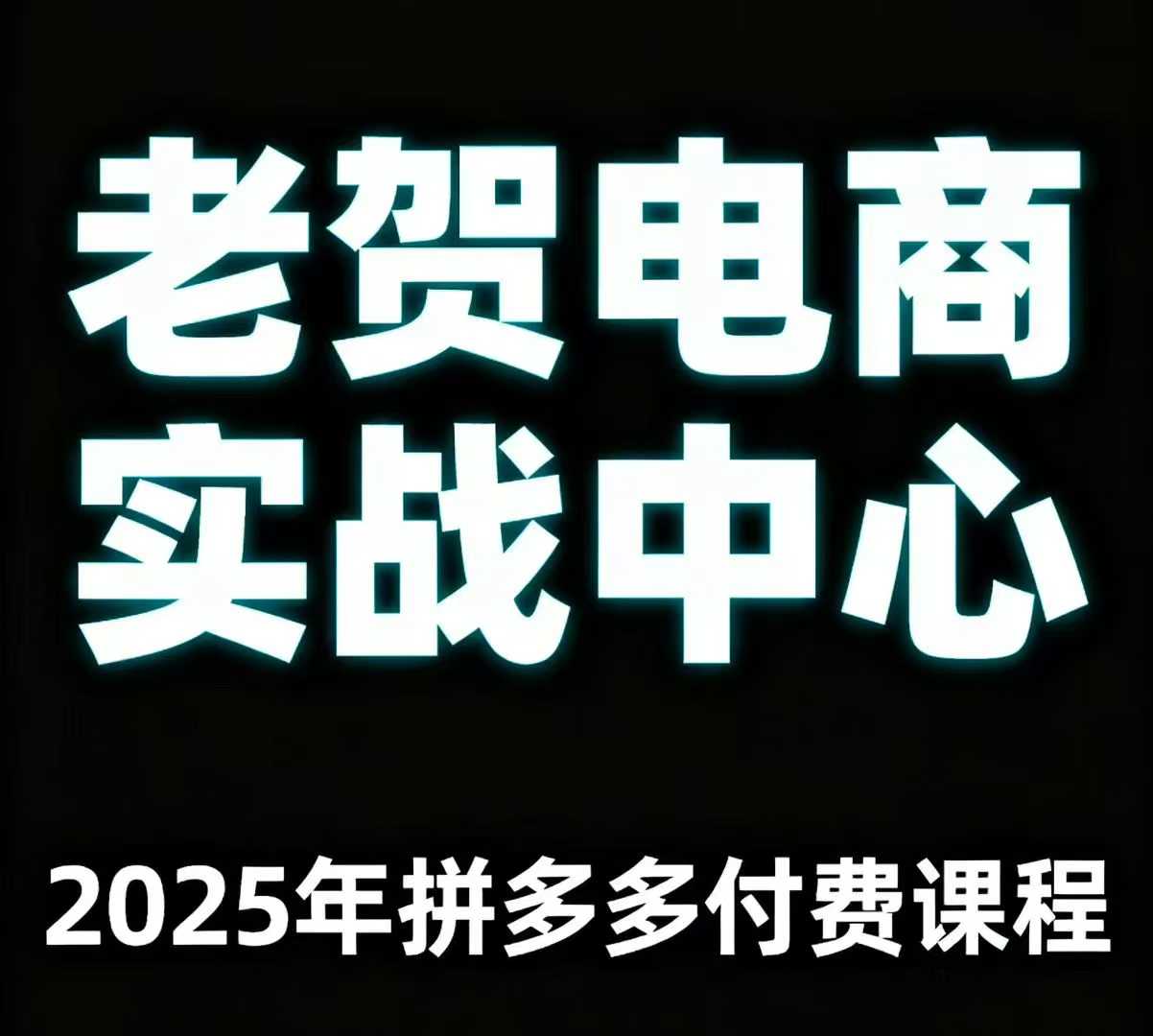 老贺电商2025年拼多多付费课程，用通俗易懂的方法告诉你多多怎么玩-网赚资源网