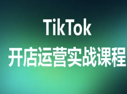 TikTok开店运营实战课程，TK跨境电商实操全流程-网赚资源网