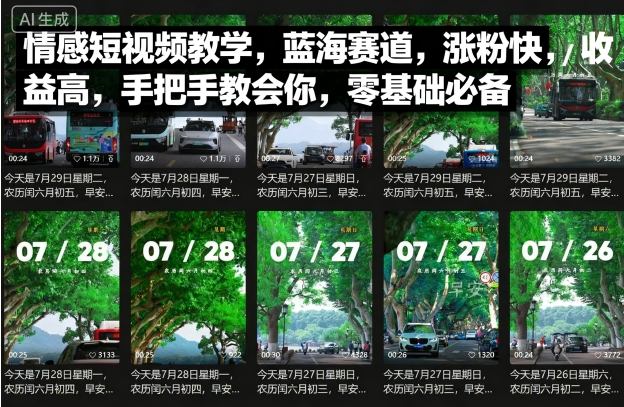 情感短视频教学，蓝海赛道，涨粉快，收益高，手把手教会你，零基础必备-网赚资源网