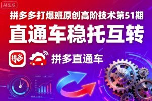 拼多多打爆班原创高阶技术第51期，直通车稳托互转 - 网赚资源网-网赚资源网