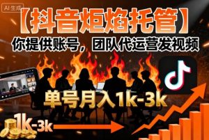 【抖音炬焰托管】你提供账号，团队代运营发视频，单号月入1k+【揭秘】-网赚资源网