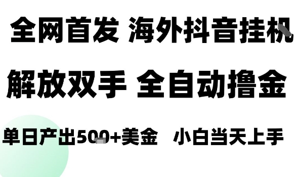 海外抖音无人直播，单日产出1.5k+，长期稳定，新手可玩，无脑操作【揭秘】-网赚资源网