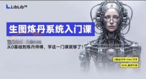 LibLibAI哩布哩布生图炼丹系统入门课,从生图到炼丹,只学这一门就够了-网赚资源网