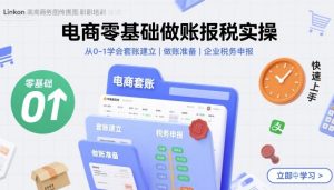 电商零基础做账报税实操快速上手，从0-1学会套账建立，做账准备，企业税务申报 - 网赚资源网-网赚资源网