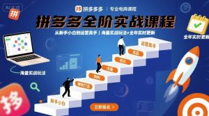 拼多多全阶实战课程，从新手小白到运营高手，海量实战玩法+全年实时更新【2025年9月更新】 - 网赚资源网-网赚资源网