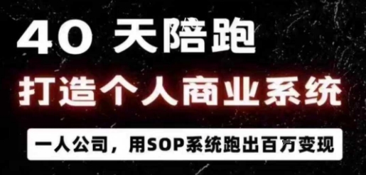 40天陪跑打造个人商业系统，一人公司，用SOP系统跑出百W变现-网赚资源网