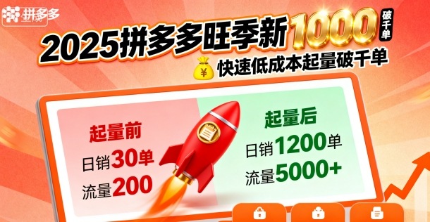 2025拼多多旺季新老店铺——快速低成本起量破千单 - 网赚资源网-网赚资源网