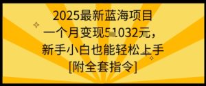 2025最新蓝海项目一个月变现1w+新手小白也能轻松上手【附全套指令】-网赚资源网