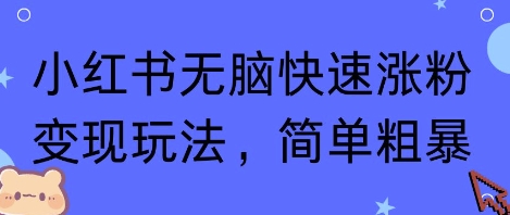 小红书无脑快速涨粉变现玩法，简单粗暴-网赚资源网