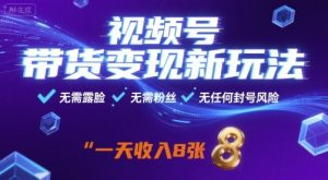 视频号带货变现新玩法,无需露脸,无需粉丝,无任何封号风险,一天收益8张【揭秘】-网赚资源网