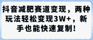 抖音减肥赛道变现，两种玩法轻松变现3W+，新手也能快速复制 - 网赚资源网-网赚资源网