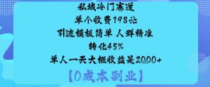 私域冷门赛道:单个收费198米引流模板简单人群精准转化45%单人一天大概收益是1k+ - 网赚资源网-网赚资源网