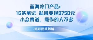 蓝海项目：16条笔记私域变现9750米小众赛道操作的人不多 - 网赚资源网-网赚资源网