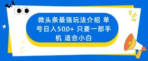 微头条最强玩法介绍一个号日入5张+只要一部手机适合小白 - 网赚资源网-网赚资源网