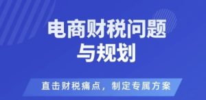 电商企业财税风险与规避，直击财税痛点，制定专属方案 - 网赚资源网-网赚资源网