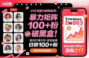 小红书暴力矩阵起号，教你打通引流-变现速通，日锁100+粉，破流量黑盒 - 网赚资源网-网赚资源网