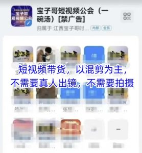 宝子哥头部团队短视频带货,以混剪为主,不需要真人出镜,不需要拍摄【更新9月】 - 网赚资源网-网赚资源网
