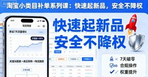 淘宝小类目补单系列课，快速起新品，安全不降权 - 网赚资源网-网赚资源网