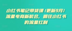 小红书笔记带货课(更新25年9月)流量电商新机会，抓住小红书的流量红利 - 网赚资源网-网赚资源网