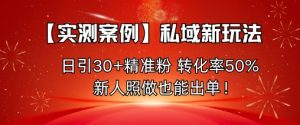 【实测案例】私域新玩法，日引30+精准粉，转化率50%，新人照做也能出单！ - 网赚资源网-网赚资源网
