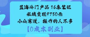 蓝海冷门产品：16条笔记私域变现9750米小众赛道，操作的人不多 - 网赚资源网-网赚资源网