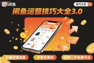 闲鱼运营技巧大全3.0，引爆店铺流量，手把手教你玩转二手电商平台 - 网赚资源网-网赚资源网