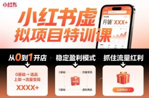 小红书虚拟项目特训课，帮你从0到1打造稳定盈利的店铺，抓住流量红利（更新9月） - 网赚资源网-网赚资源网