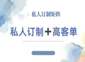 小红书自媒体咨询师IP教程，私人定制+高客单 - 网赚资源网-网赚资源网