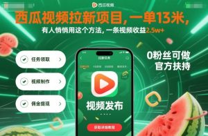 西瓜视频拉新项目，一单13米，有人悄悄用这个方法，一条视频收益2.5w+（附详细教程） - 网赚资源网-网赚资源网