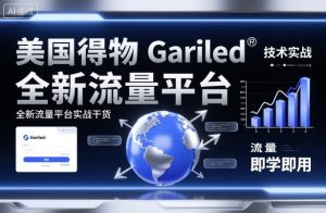 美国得物Gariled技术实战，全新流量平台​实战干货，即学即用 - 网赚资源网-网赚资源网