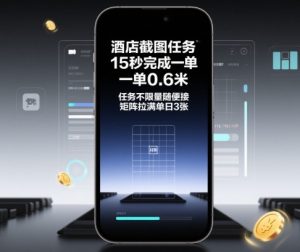 酒店截图任务，15秒完成一单，一单0.6米，任务不限量随便接，矩阵拉满单日3张【揭秘】 - 网赚资源网-网赚资源网