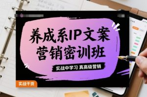 养成系IP文案营销密训班，实战中学习真高级营销 - 网赚资源网-网赚资源网