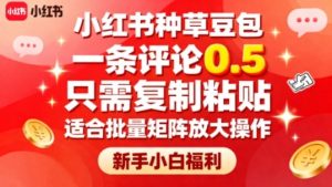 小红书种草豆包，一条评论0.5，只需复制粘贴，适合批量矩阵放大操作，新手小白福利 - 网赚资源网-网赚资源网