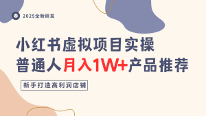 小红书虚拟项目实操指南，普通人月入1W+产品推荐，直接抄 - 网赚资源网-网赚资源网