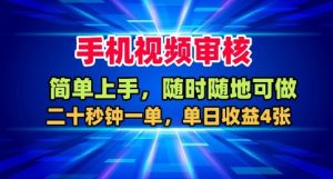 手机视频审核,随时随地可做,二十秒钟一单,单日收益4张+【揭秘】-网赚资源网