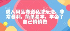 成人用品赛道私域玩法,非常暴利,简单易学,学会了自己悄悄做-网赚资源网