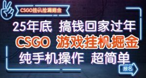 25年底搞钱回家过年,CSGO游戏挂G掘金,纯手机操作超简单【揭秘】 - 网赚资源网-网赚资源网