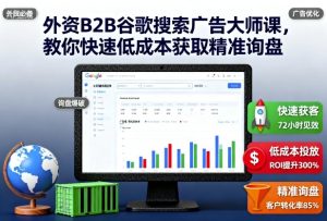 外资B2B谷歌搜索广告大师课,教你快速低成本获取精准询盘 - 网赚资源网-网赚资源网