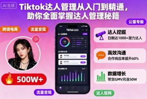 Tiktok达人管理从入门到精通,助你全面掌握达人管理秘籍-网赚资源网