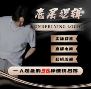 一个人起盘的底层逻辑,私域流量-直播电商-实体获客,一人起盘的36种賺钱思路-网赚资源网