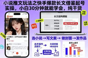小说推文玩法之快手爆款长文借鉴起号实操,小白30分钟就能学会,纯干货-网赚资源网