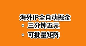 海外ip全自动掘金,2025必做蓝海项目,3分钟落地,矩阵直接开干【揭秘】-网赚资源网